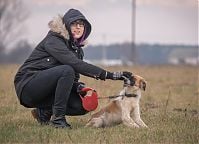 Zbiórka dla Burka - Warszawska Szkoła Reklamy pomaga podopiecznym w Przytulisku w Jadowie. 15 XII 2018 r. Fot. Anita Kot