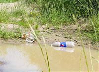 Trashchallenge czyli sprzątanie okolic Górki Kazurki! 27 czerwca 2019 r. 